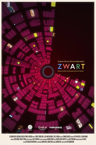 Póster de Zwart