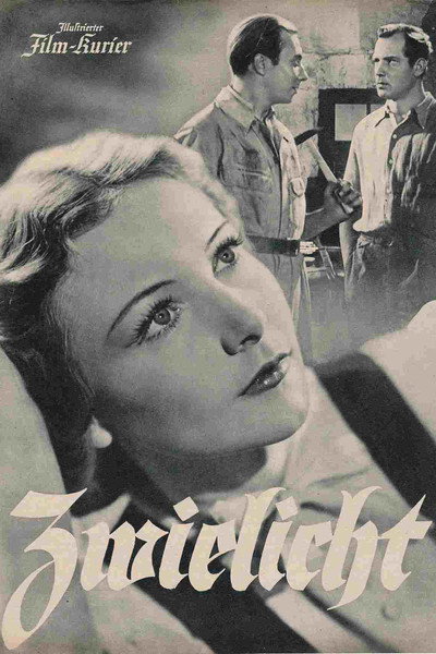 Póster de Zwielicht
