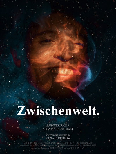 Póster de Zwischenwelt