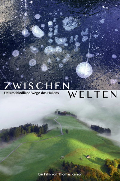 Póster de Zwischenwelten