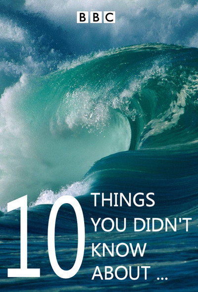 Póster de 10 Things You Didn't Know About...
