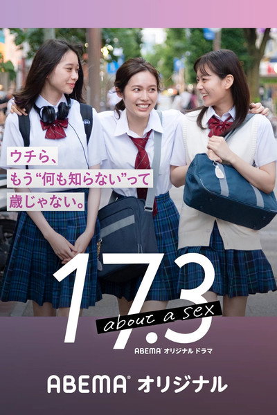 Póster de 17.3 About a Sex