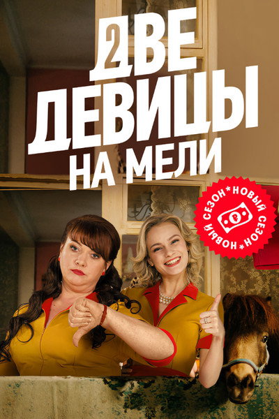 Póster de 2 Broke Girls