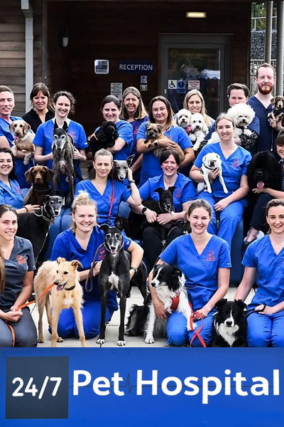 Póster de 24/7 Pet Hospital