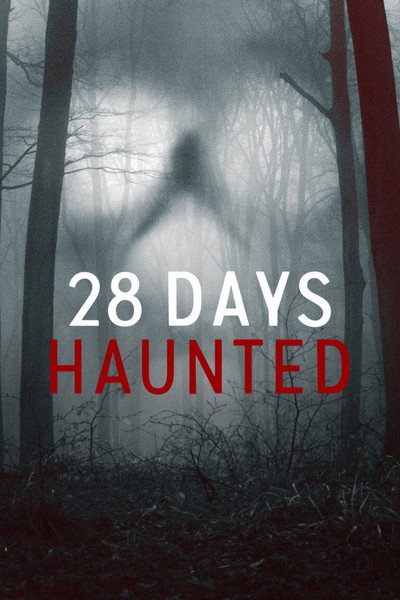 Póster de 28 días paranormales