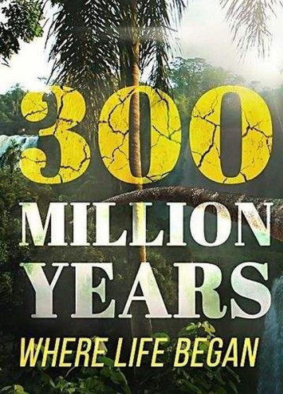 Póster de 300 Million Years