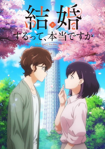 Póster de 365 Days to the Wedding