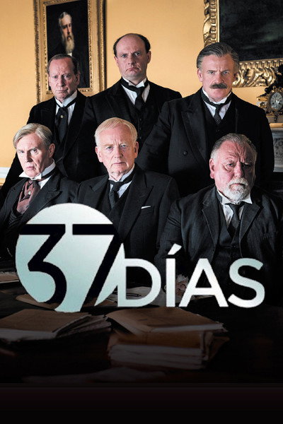 Póster de 37 días