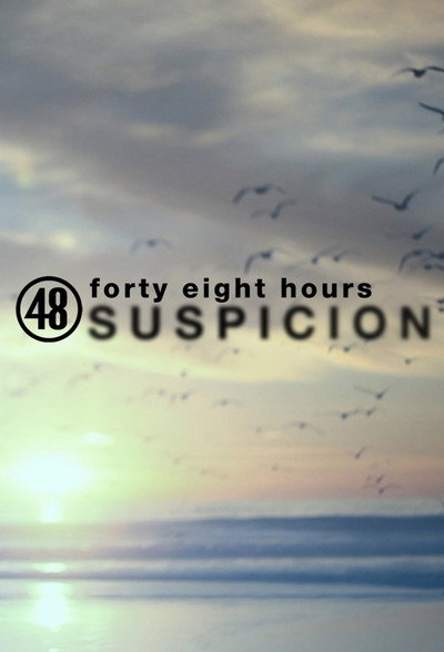 Póster de 48 Hours: Suspicion