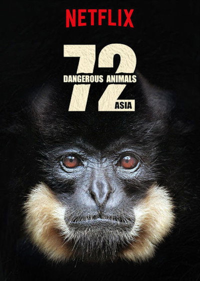 Póster de 72 Dangerous Animals - Asia