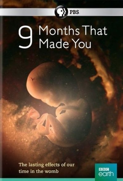 Póster de 9 Months That Made You