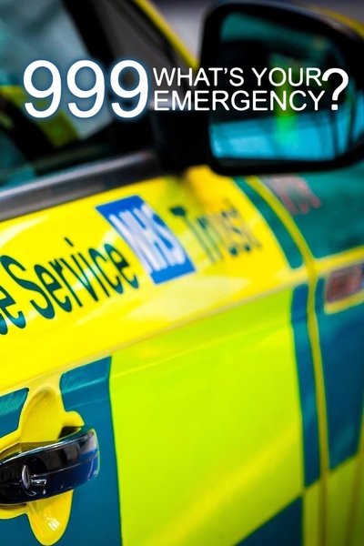 Póster de 999: What's Your Emergency?