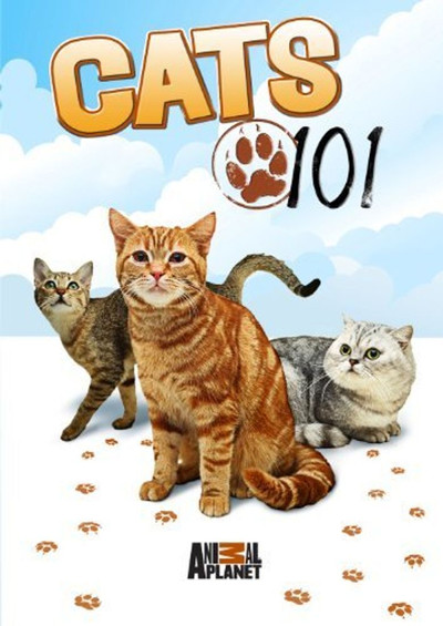 Póster de A B C Felino