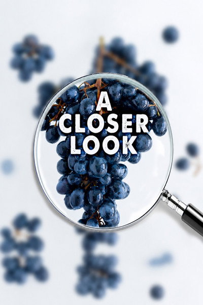 Póster de A Closer Look