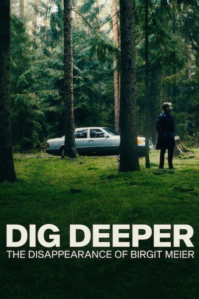Póster de A fondo: La desaparición de Birgit Meier