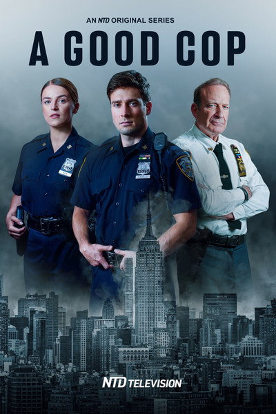 Póster de A Good Cop