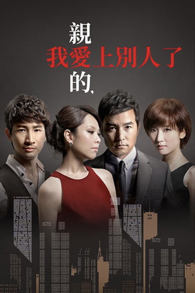 Póster de A Good Wife