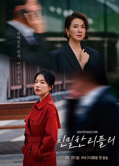 Póster de A Graceful Liar