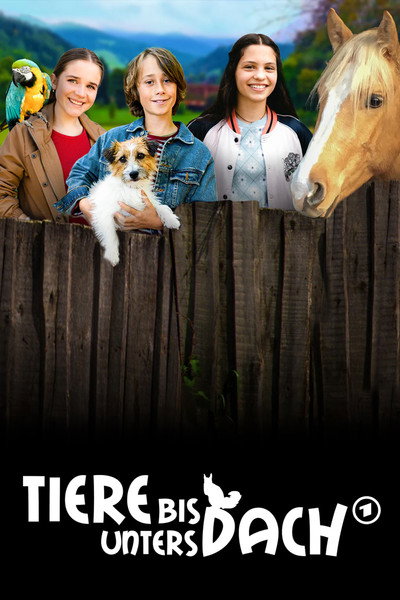 Póster de A House of Animals