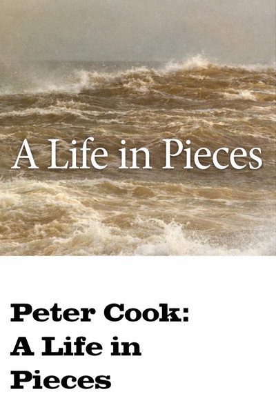Póster de A Life in Pieces