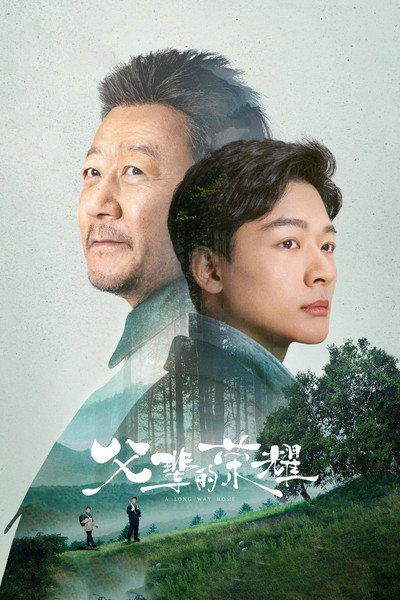 Póster de A Long Way Home