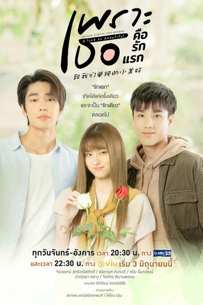 Póster de A Love So Beautiful