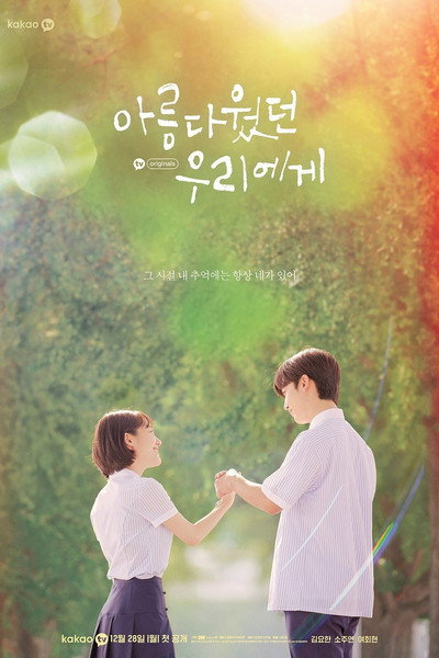 Póster de A Love So Beautiful