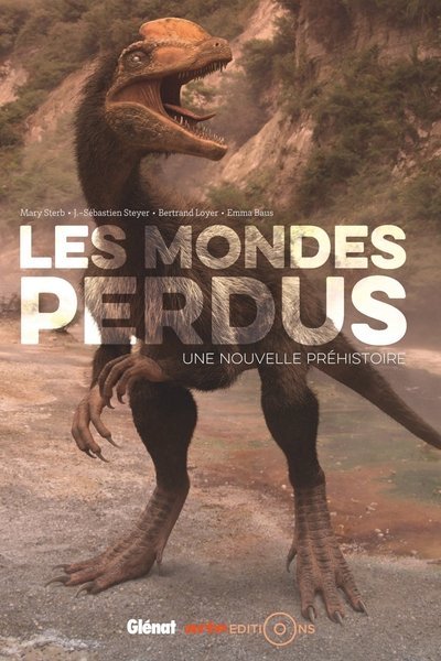Póster de A New Prehistory