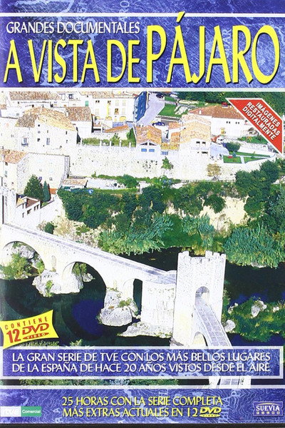 Póster de A vista de pájaro