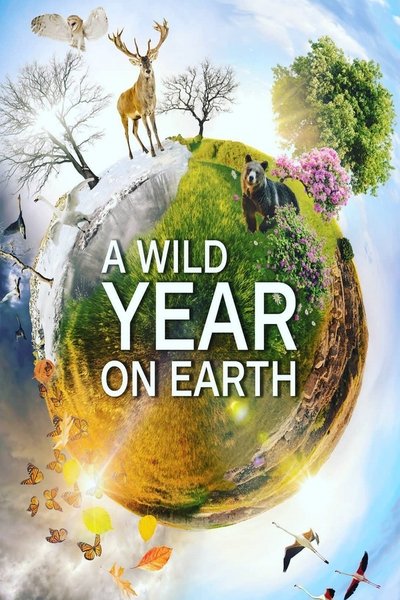 Póster de A Wild Year on Earth