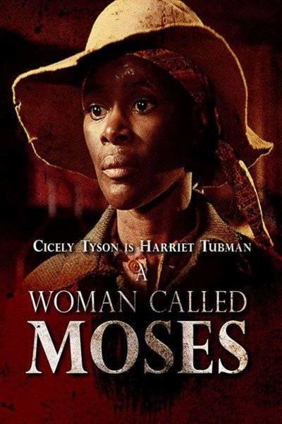 Póster de A Woman Called Moses