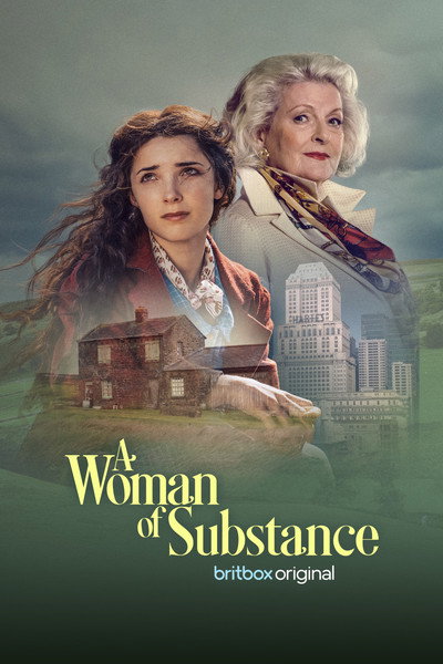 Póster de A Woman of Substance