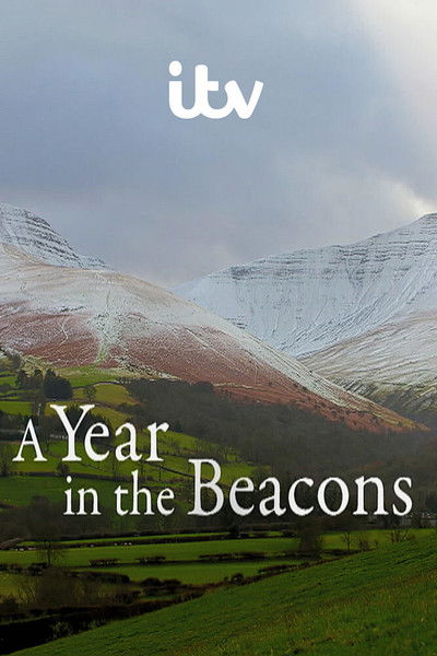 Póster de A Year in the Beacons