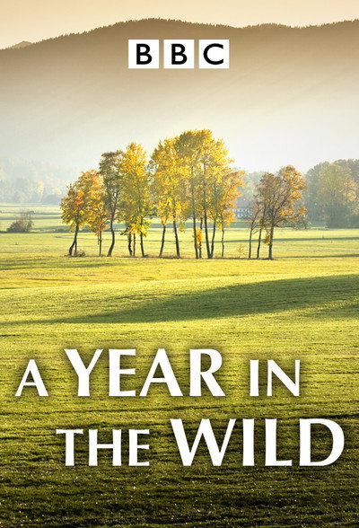 Póster de A Year in the Wild