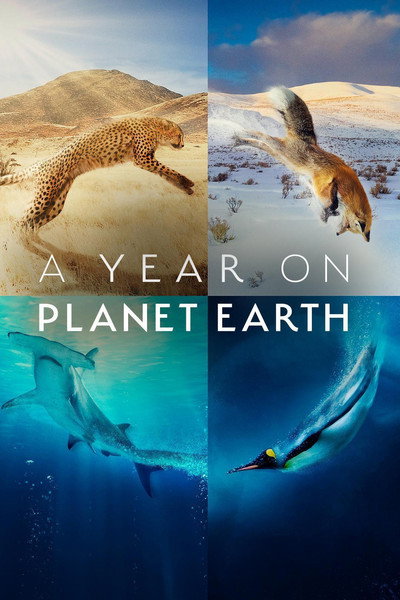 Póster de A Year on Planet Earth