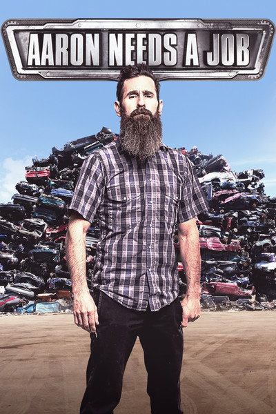 Póster de Aaron Needs a Job