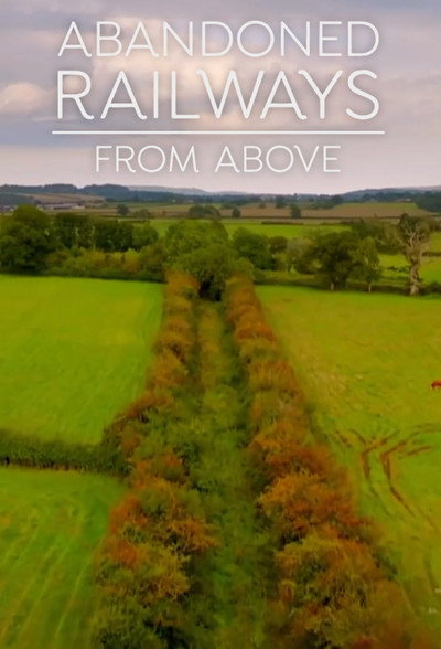 Póster de Abandoned Railways from Above