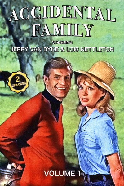 Póster de Accidental Family