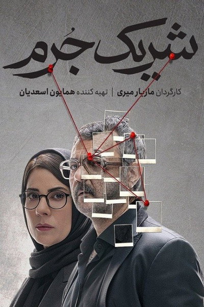 Póster de Accomplice