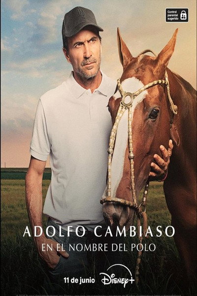 Póster de Adolfo Cambiaso, en el nombre del polo