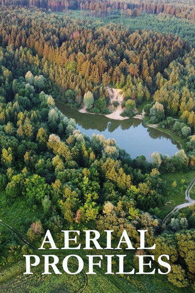 Póster de Aerial Profiles