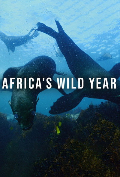 Póster de Africa's Wild Year