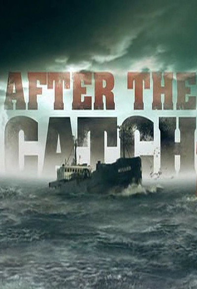 Póster de After the Catch