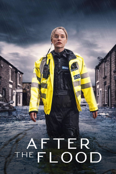 Póster de After the Flood