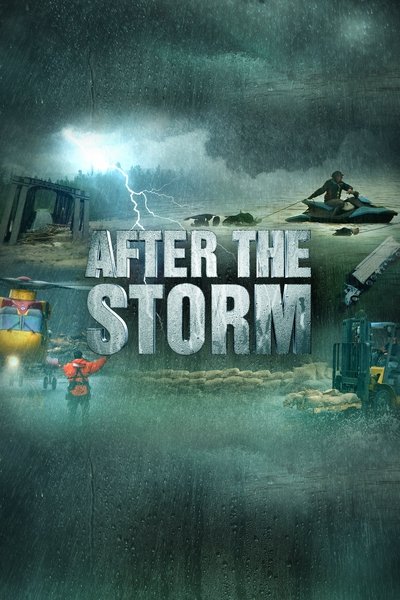 Póster de After the Storm