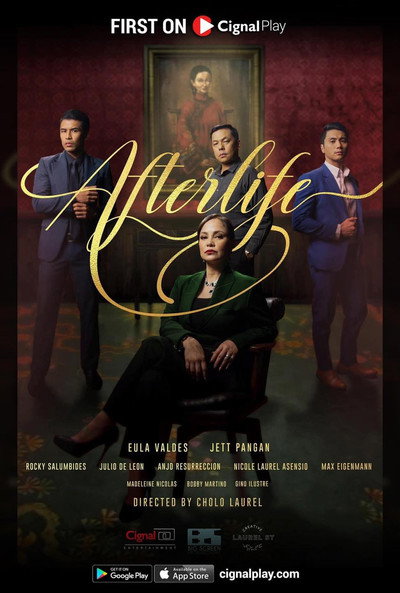 Póster de Afterlife