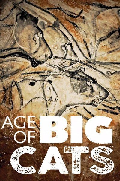 Póster de Age of Big Cats