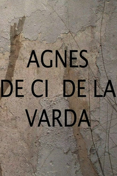 Póster de Agnes Varda: From Here to There