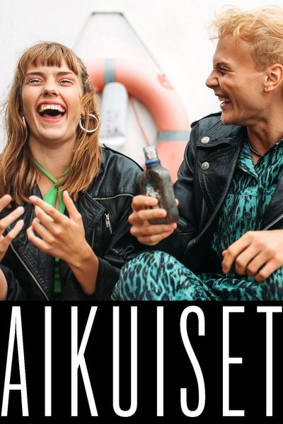 Póster de Aikuiset