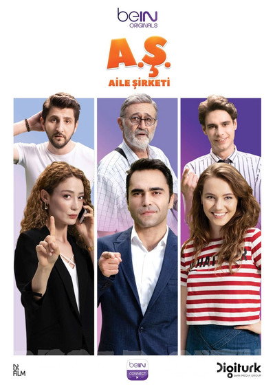 Póster de Aile Sirketi